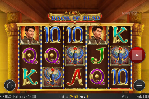Play n GO Book of Dead Slot Machine