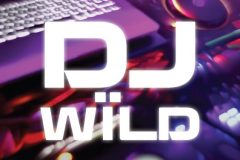 Elk Studios DJ Wild Slot Logo